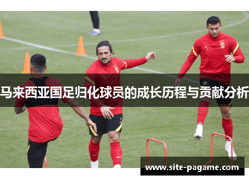 马来西亚国足归化球员的成长历程与贡献分析 马来西亚国足归化球员的成长历程与贡献分析