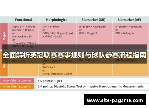 全面解析英冠联赛赛事规则与球队参赛流程指南