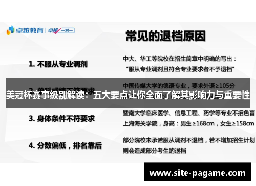 美冠杯赛事级别解读：五大要点让你全面了解其影响力与重要性