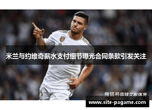 米兰与约维奇薪水支付细节曝光合同条款引发关注