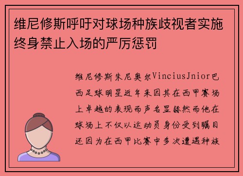 维尼修斯呼吁对球场种族歧视者实施终身禁止入场的严厉惩罚