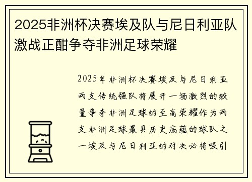 2025非洲杯决赛埃及队与尼日利亚队激战正酣争夺非洲足球荣耀
