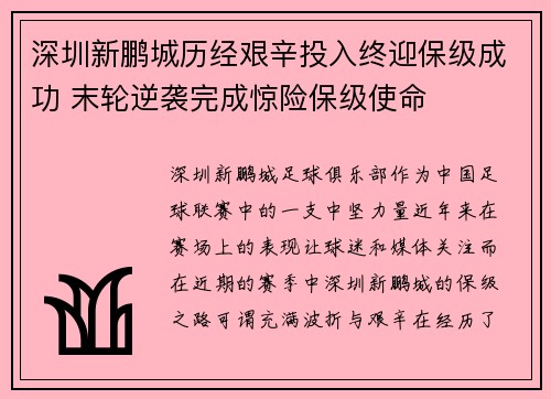深圳新鹏城历经艰辛投入终迎保级成功 末轮逆袭完成惊险保级使命