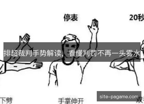 排超裁判手势解读,看懂判罚不再一头雾水 排超裁判手势解读,看懂判罚不再一头雾水